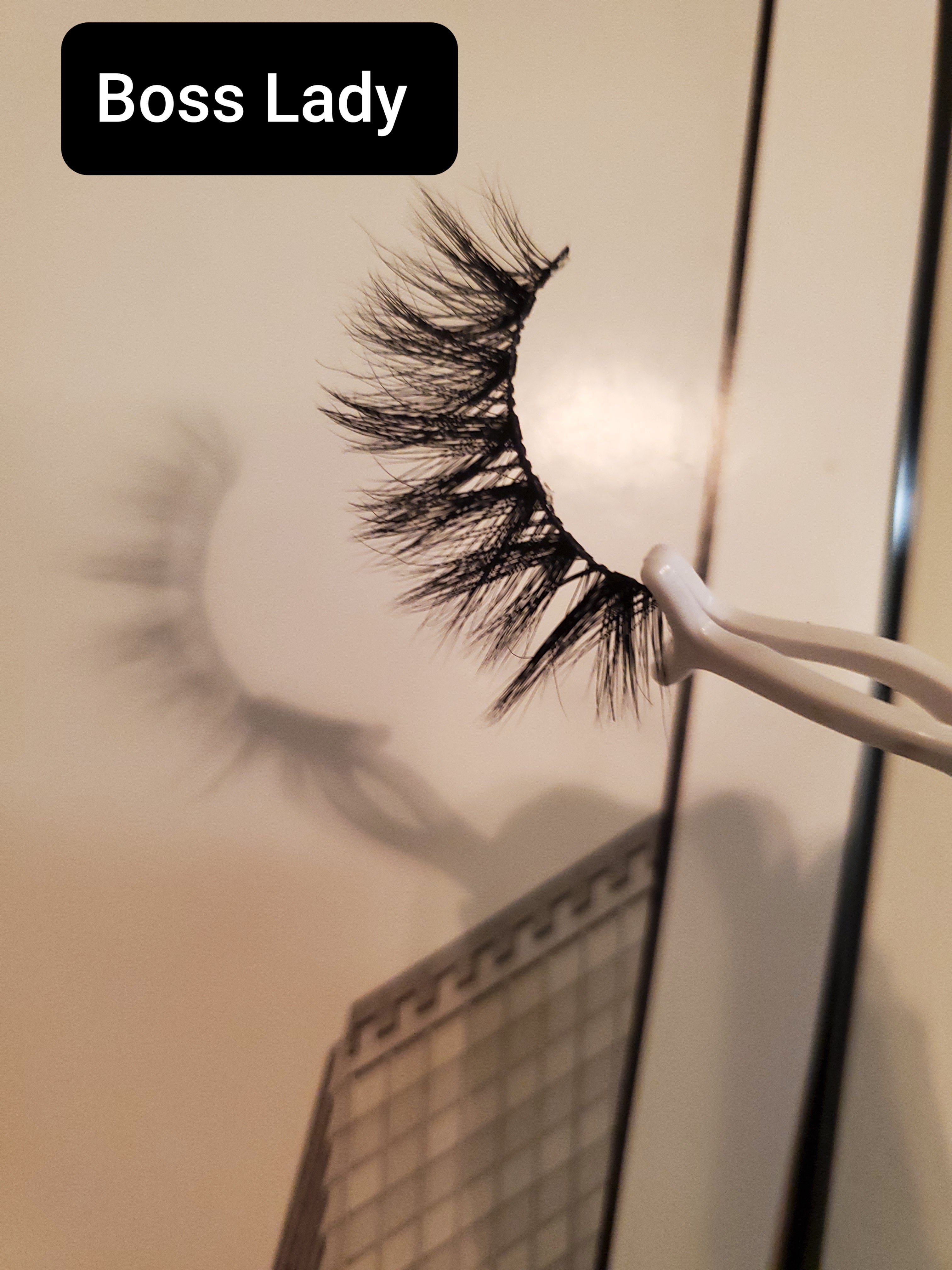 Girl Boss Lash Book