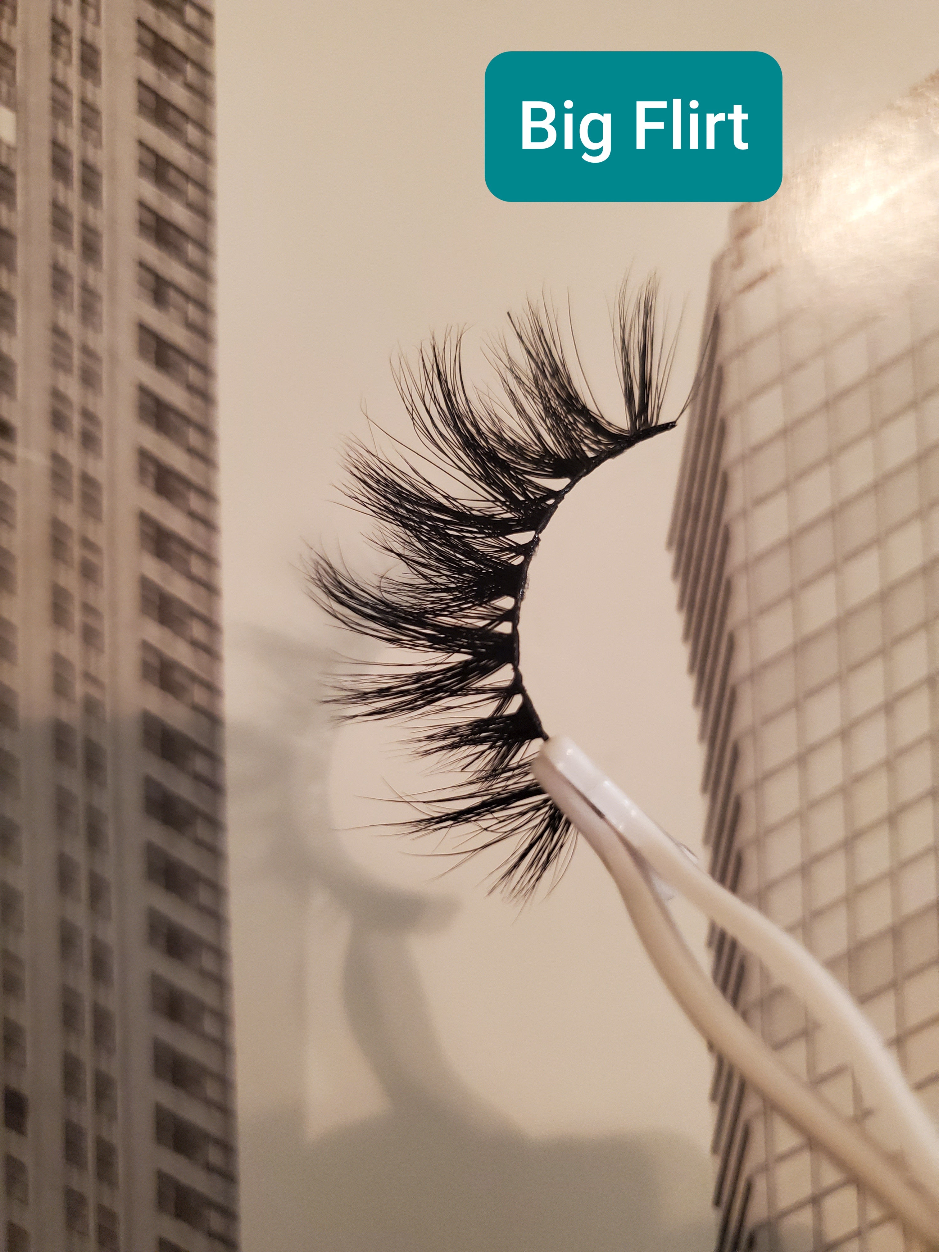 Girl Boss Lash Book